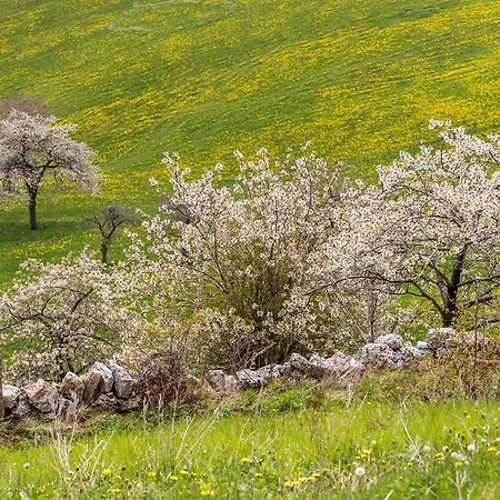 Alojamento de Acomodação e Pequeno-almoço Contrade Alte Sant'Anna d'Alfaedo