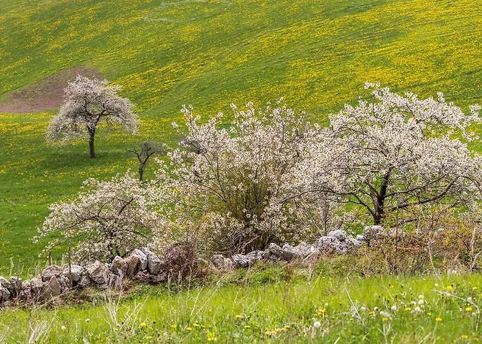 B&B Contrade Alte Sant'Anna d'Alfaedo